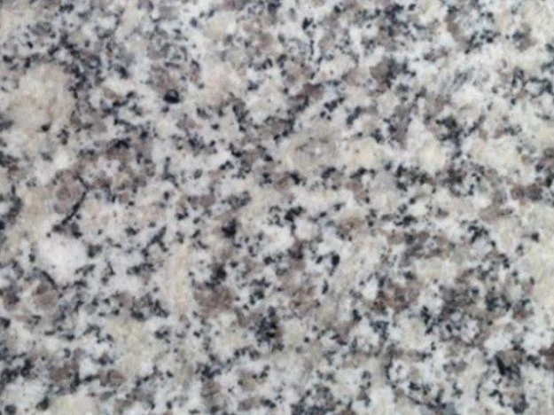 Chinese Factory Cheap White G602 Granite Slabs